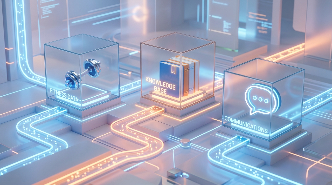 Eine klare Darstellung von Datenkategorisierung.